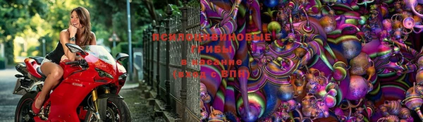 трава Абинск