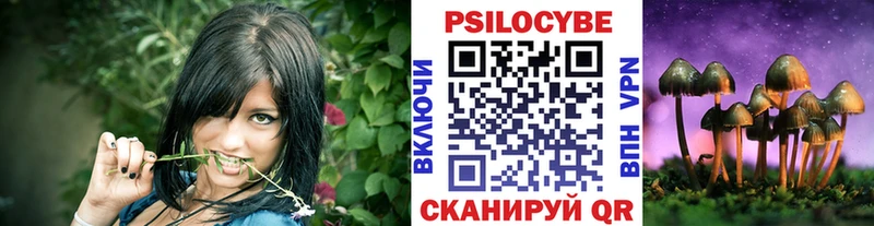 где можно купить наркотик Чишмы Псилоцибиновые грибы Psilocybine cubensis